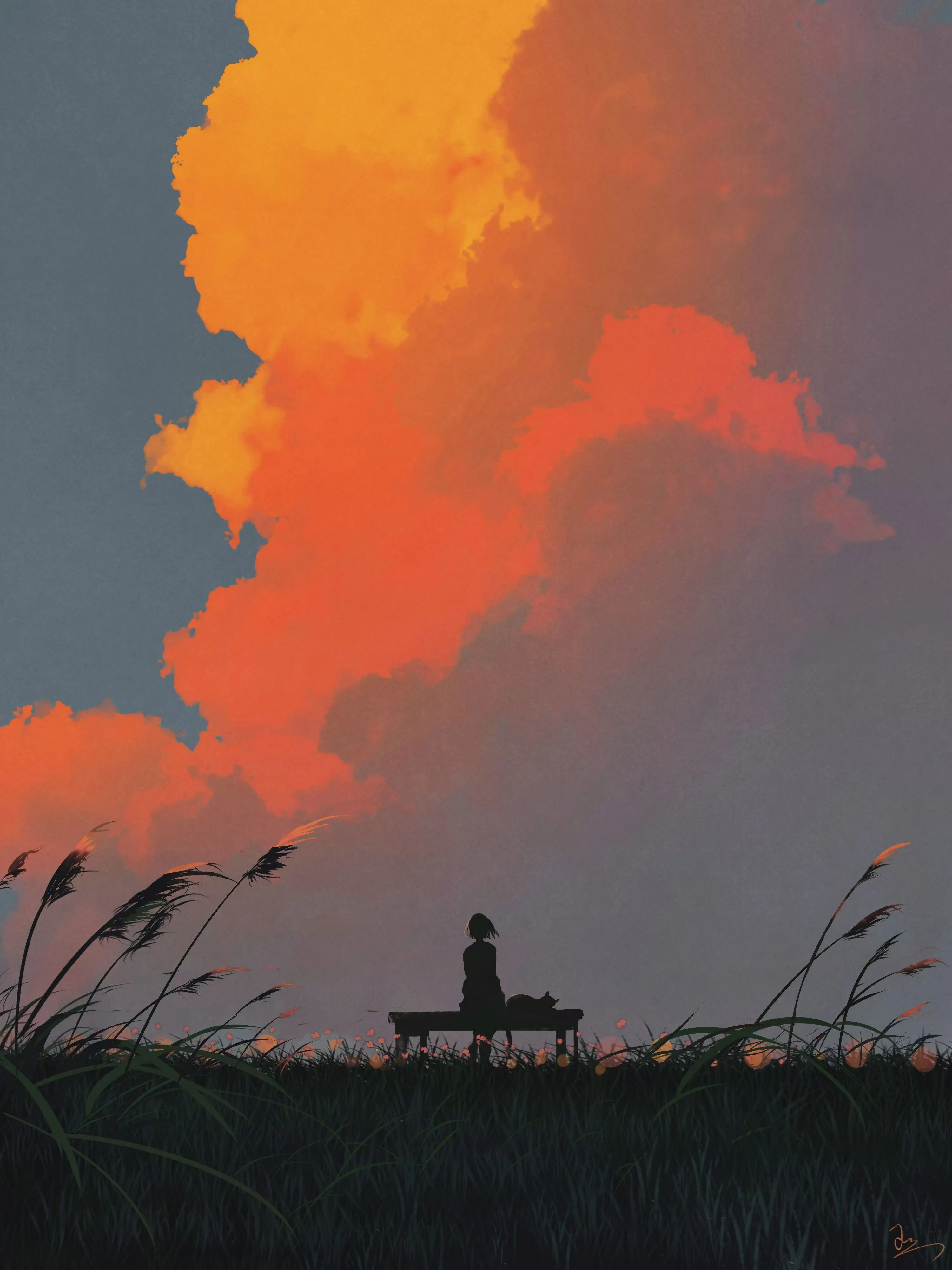 Cover Image of the Post
